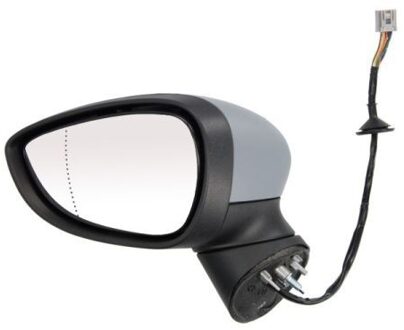 Ford Buitenspiegel 5402040304591P