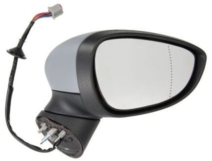 Ford Buitenspiegel 5402040304592P