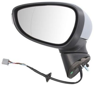 Ford Buitenspiegel 5402040304593P