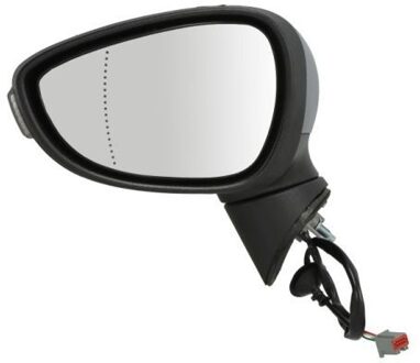 Ford Buitenspiegel 5402041111392P