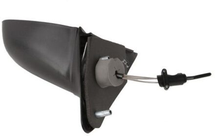 Ford Buitenspiegel 5402041112304P