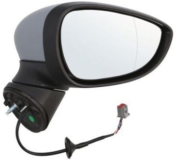 Ford Buitenspiegel 5402041112394P