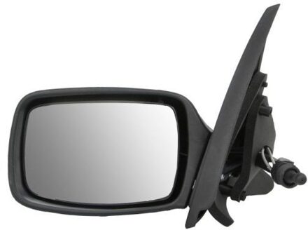 Ford Buitenspiegel 5402041112398P