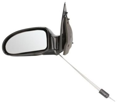 Ford Buitenspiegel 5402041112399P