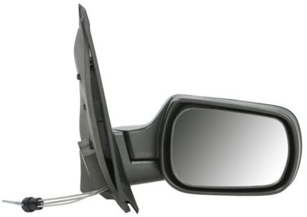 Ford Buitenspiegel 5402041115387P