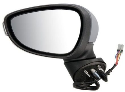 Ford Buitenspiegel 5402041115392P