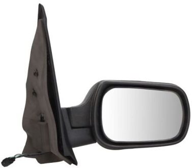 Ford Buitenspiegel 5402041121389P