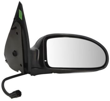 Ford Buitenspiegel 5402041121399P