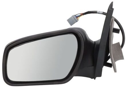 Ford Buitenspiegel 5402041121632P