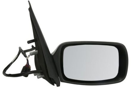 Ford Buitenspiegel 5402041128381P