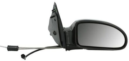 Ford Buitenspiegel 5402041132399P