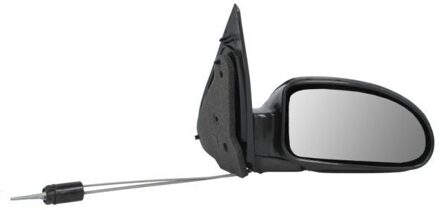 Ford Buitenspiegel 5402041138399P