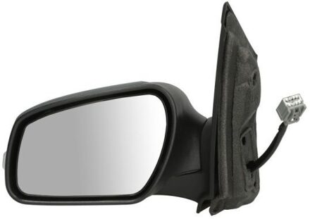 Ford Buitenspiegel 5402041139296P