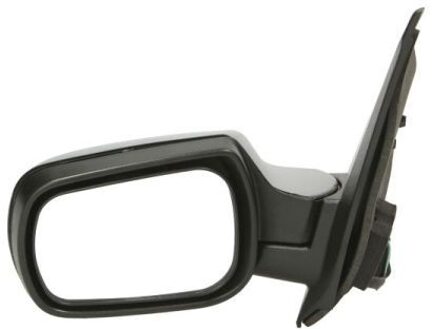 Ford Buitenspiegel 5402041139389P