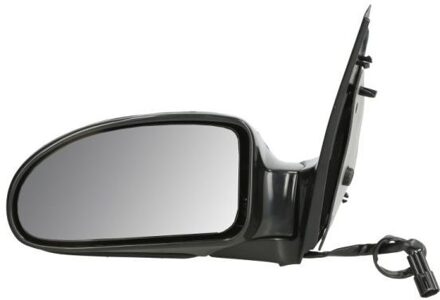 Ford Buitenspiegel 5402041139399P
