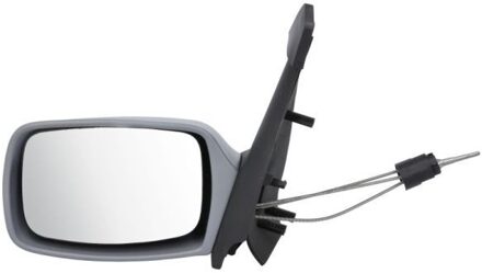 Ford Buitenspiegel 5402041153381P