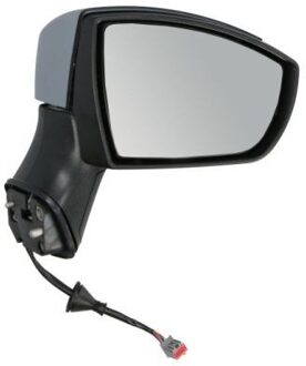 Ford Buitenspiegel 5402049929384P