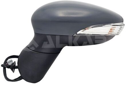 Ford Buitenspiegel 6141406