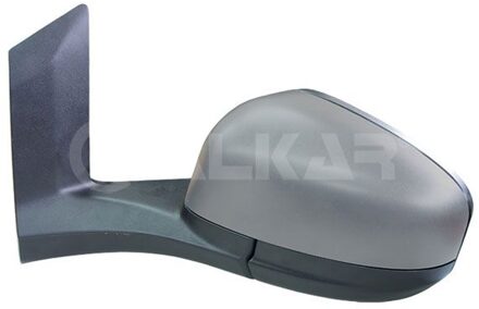 Ford Buitenspiegel 9231668