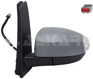 Ford Buitenspiegel links volledig 6139373