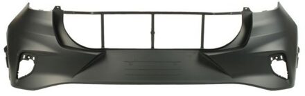 Ford Bumper 5506002595953P