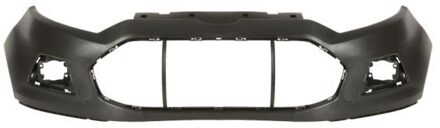 Ford Bumper 5510002588900P