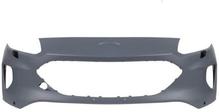 Ford Bumper 5510002596904P