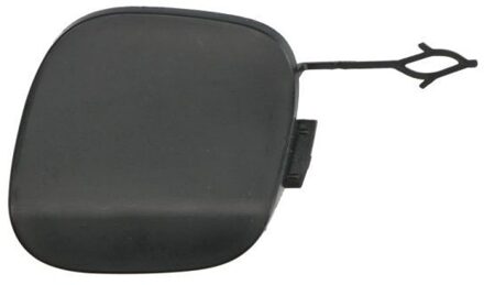 Ford Bumperafdekking, trekhaak 5513002512927Q