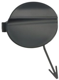 Ford Bumperafdekking, trekhaak 5513002518921Q