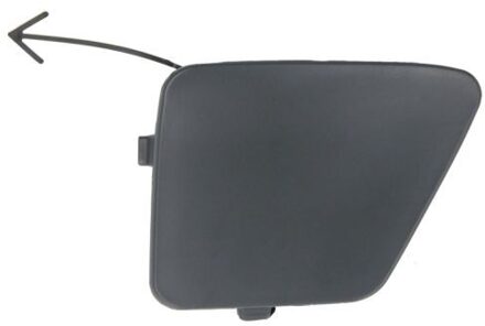 Ford Bumperafdekking, trekhaak 5513002534920P