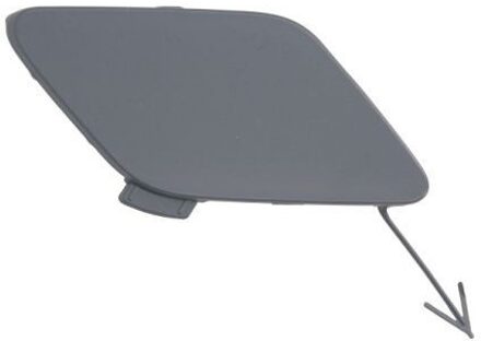 Ford Bumperafdekking, trekhaak 5513002537920Q