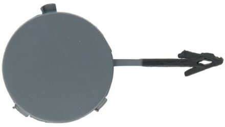 Ford Bumperafdekking, trekhaak 5513002555971P