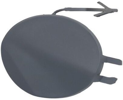 Ford Bumperafdekking, trekhaak 5513002566925P