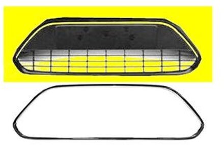 Ford Bumpergrill Onder 1866599