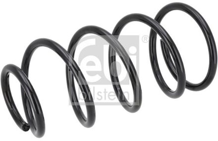 Ford Chassisveer 1003691