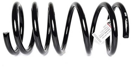 Ford Chassisveer BSG30305004