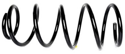 Ford Chassisveer BSG30305006