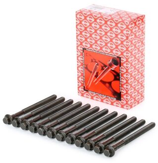 Ford Cilinderkopbout 221490