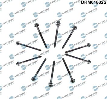 Ford Cilinderkopbout set DRM01832S