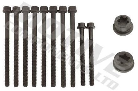 Ford Cilinderkopbout set HB8141SET