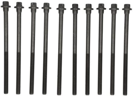 Ford Cilinderkopboutset 143217402