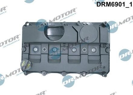 Ford Cilinderkopkap DRM6901