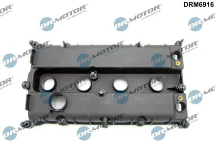 Ford Cilinderkopkap DRM6916