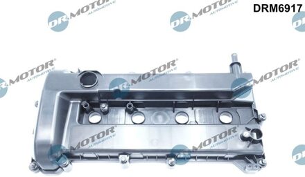 Ford Cilinderkopkap DRM6917