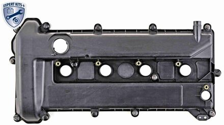 Ford Cilinderkopkap V251179