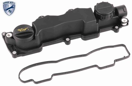 Ford Cilinderkopkap V251371