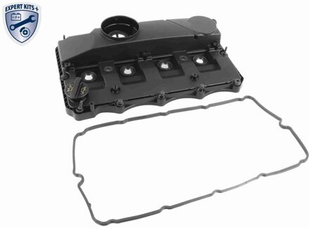 Ford Cilinderkopkap V252035