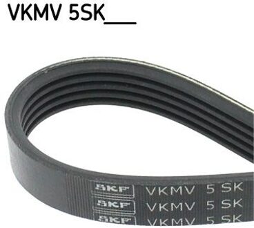 Ford Courroies Elastiques VKMV5SK690