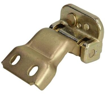 Ford Deurscharnier 6004000282P