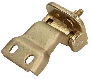 Ford Deurscharnier 6004002518242P